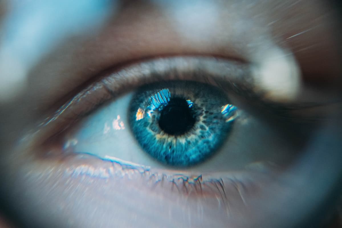 Bionic Vision and Ocular Prosthetics: Where the Science Actually Stands